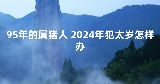 95年的属猪人 2024年犯太岁怎样办